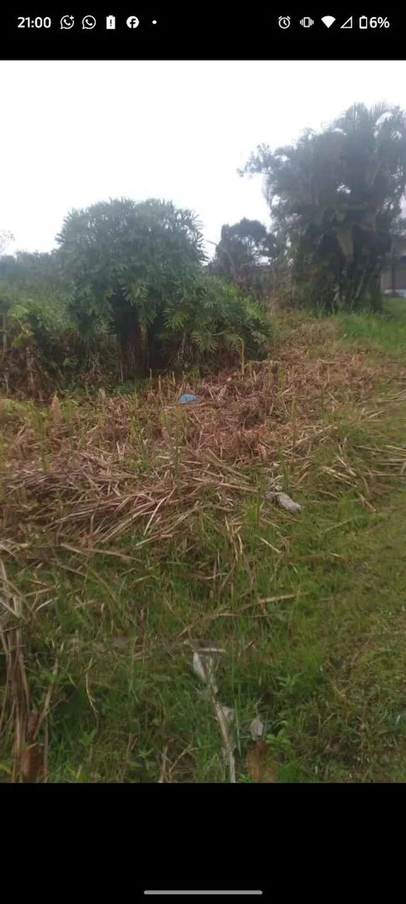 Terreno em Peruíbe  - Foto 3