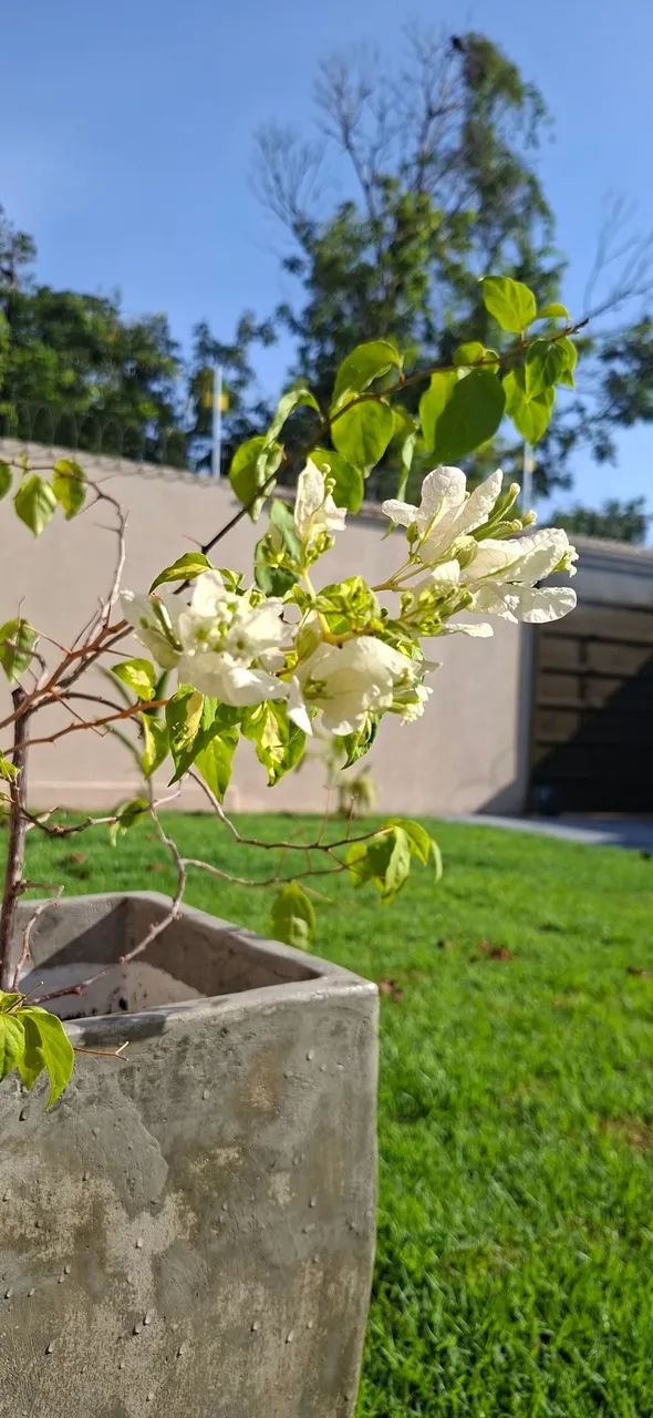Vendo casa 420 mil - Foto 2