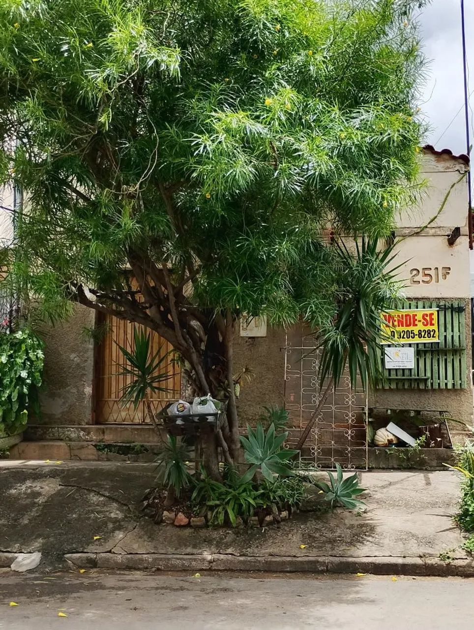 Foto - Montes Claros - Santos Reis