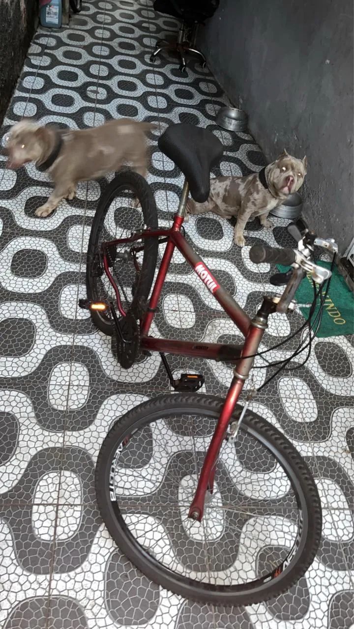 Bicicleta aro 26 - Foto 2