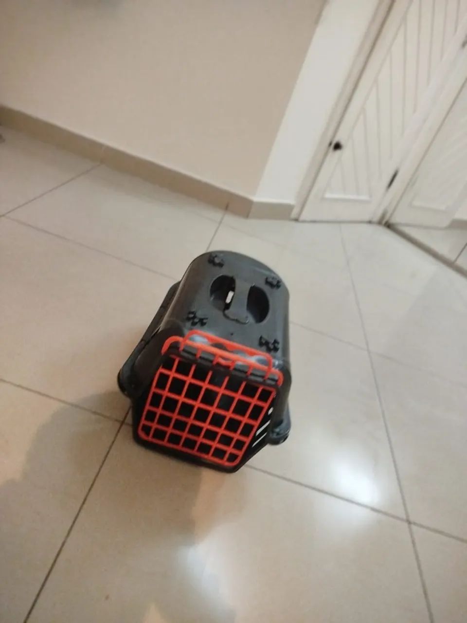 Caixa transporte animais
