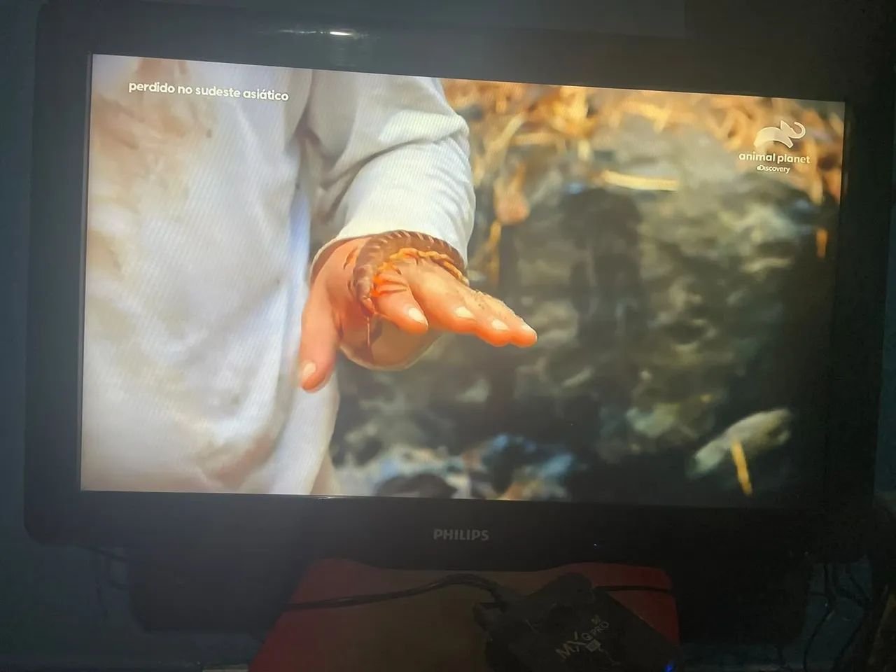 Televisão 32 polegadas - Foto 4