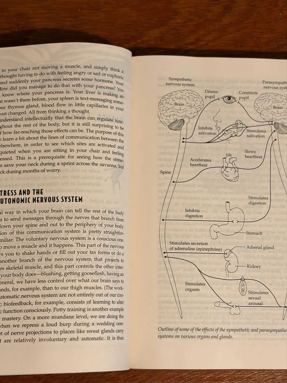 Livro Why Zebras Dont Get Ulcers - Foto 4
