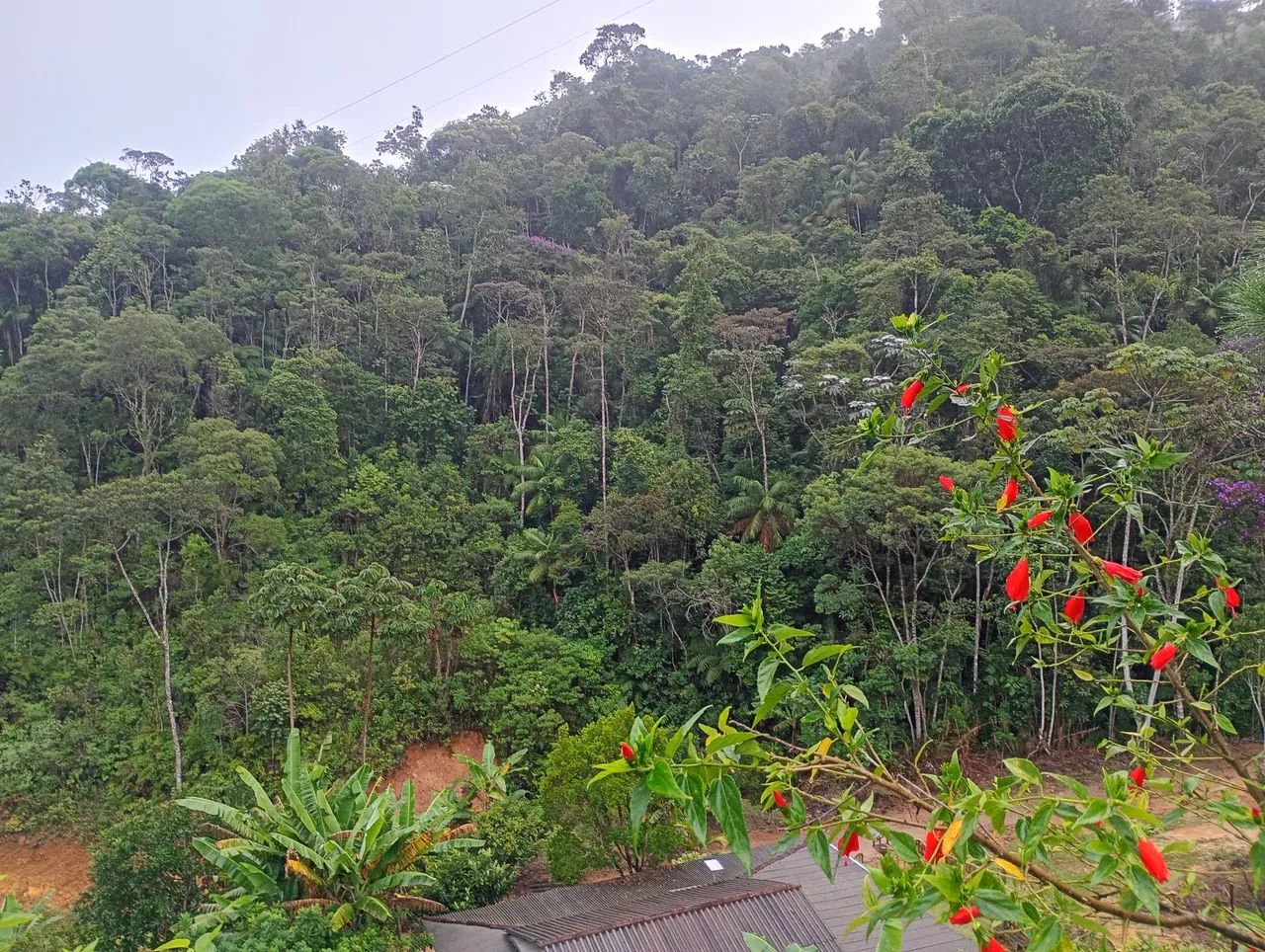 Vende-se chácara divisa de Marechal Floriano - Foto 5