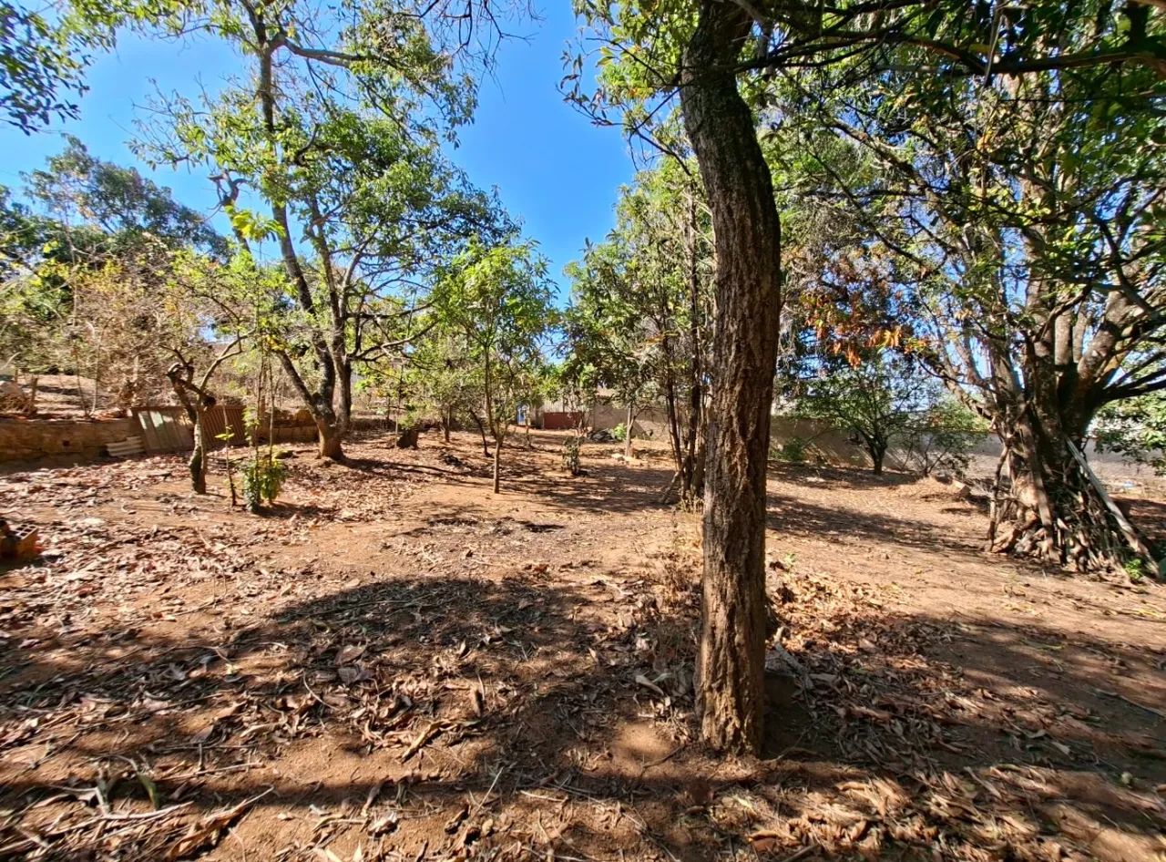 Chácara composta por 6 lotes de 360 m2 - Foto 4