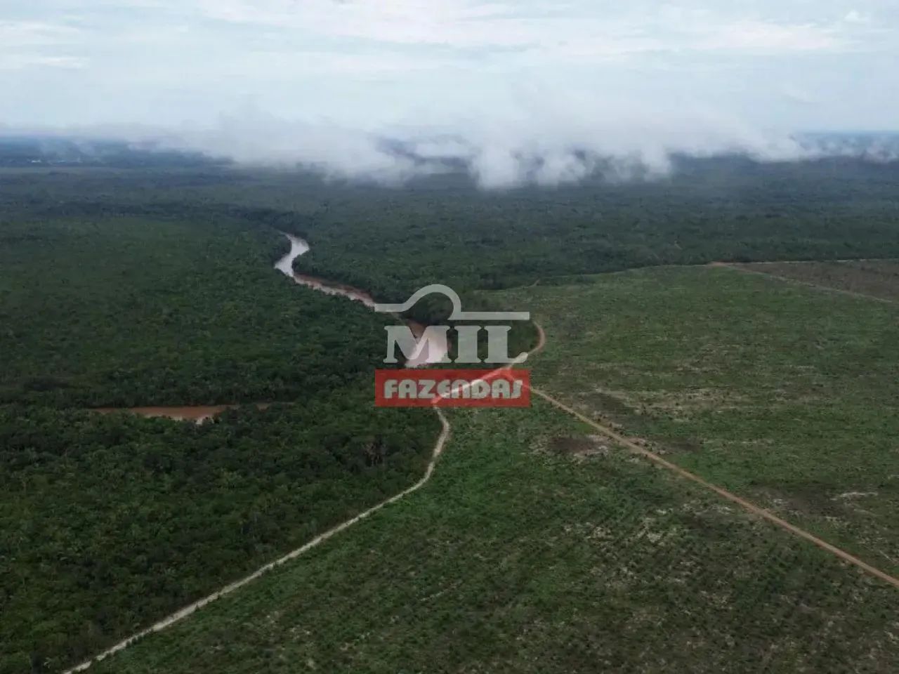 Fazenda 745 alqueires (3.607 hectares) Goiatins - Go - Foto 4