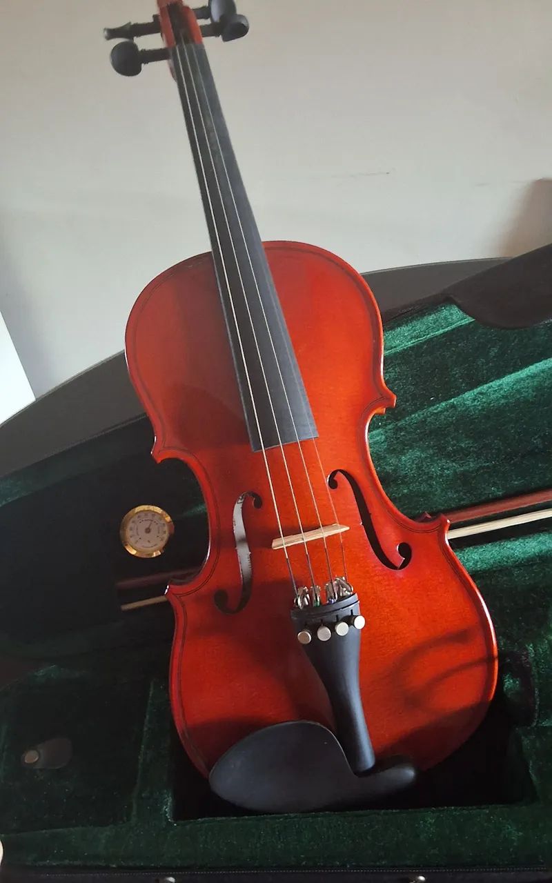 Violino Michael 3/4 ?