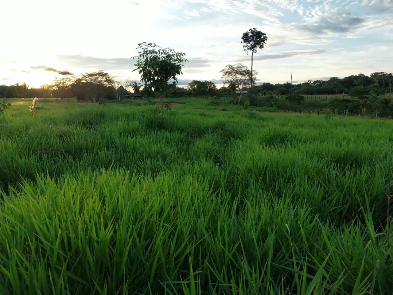 Vende-se  - Foto 2