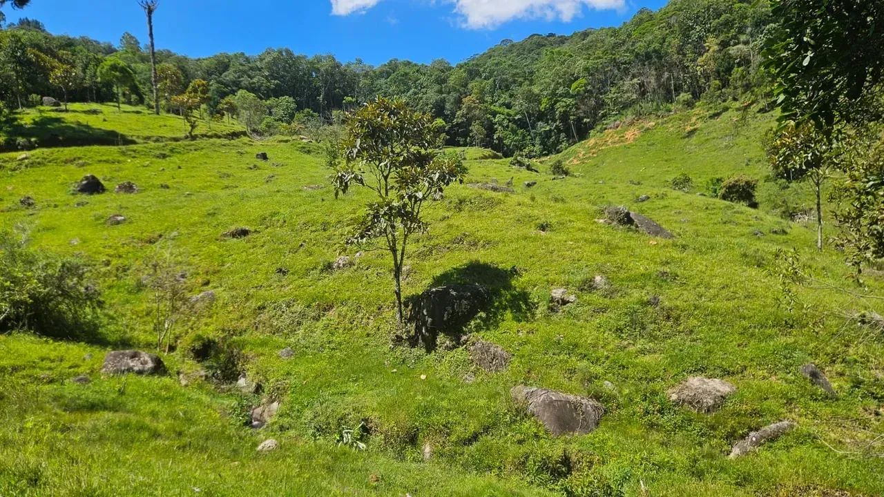 Sitio com linda vista em Águas Mornas - SC - Foto 5