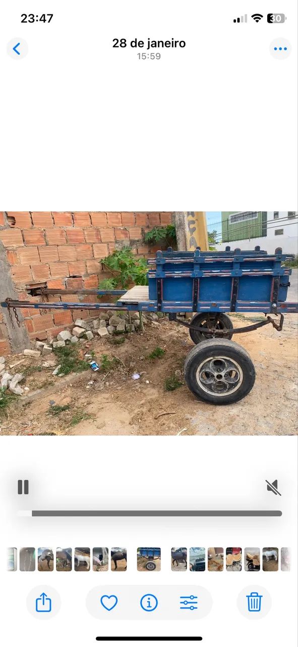 Carroça filé - Foto 4