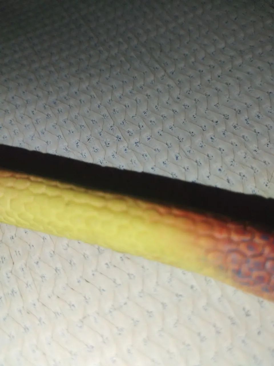 Cobra de mentira ( troll ) - Foto 3