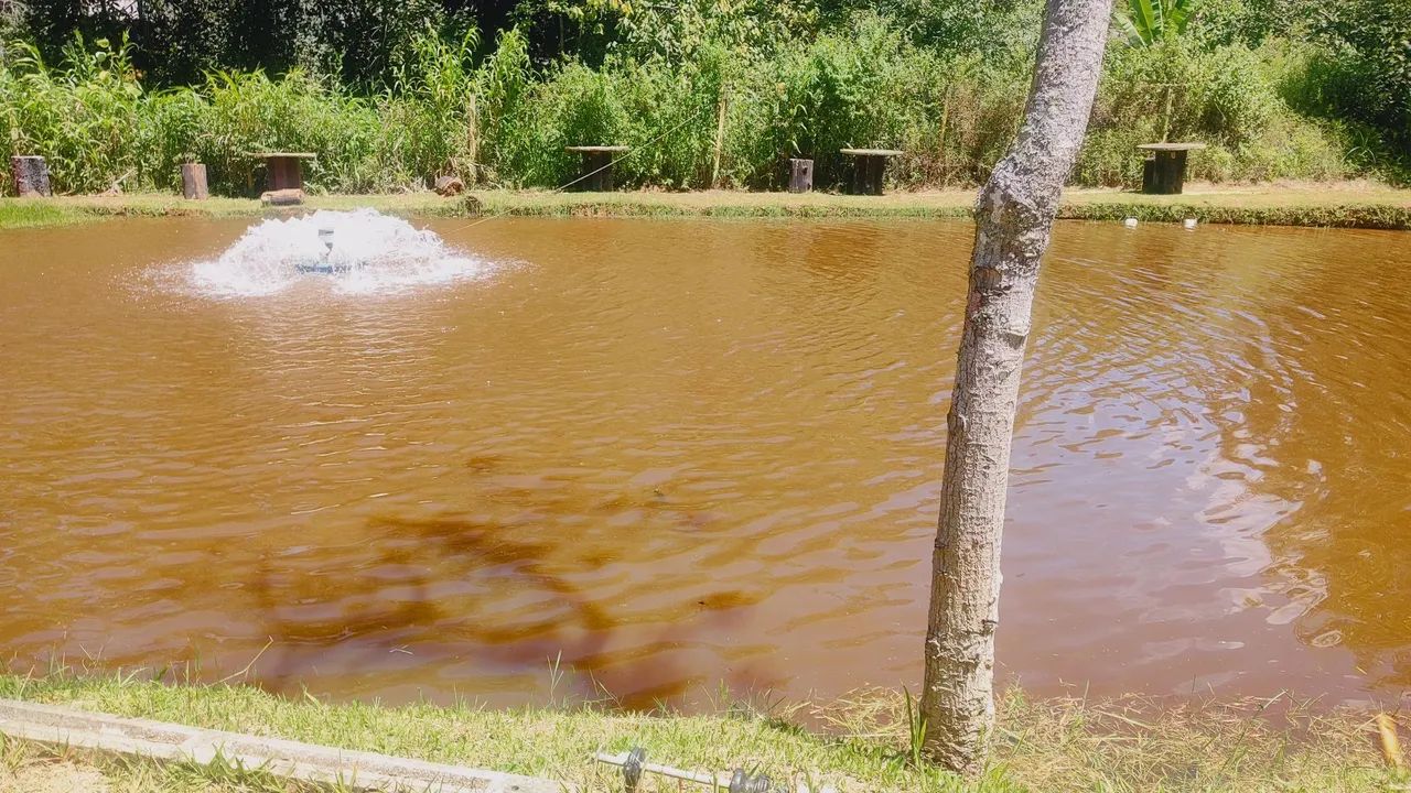 Aluga-se área residencial e comercial  - Foto 4