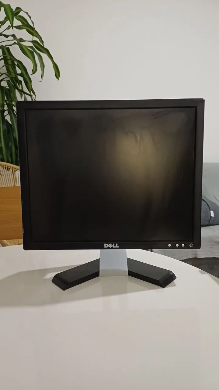 Monitor Dell E177FPc LCD 17" quadrado