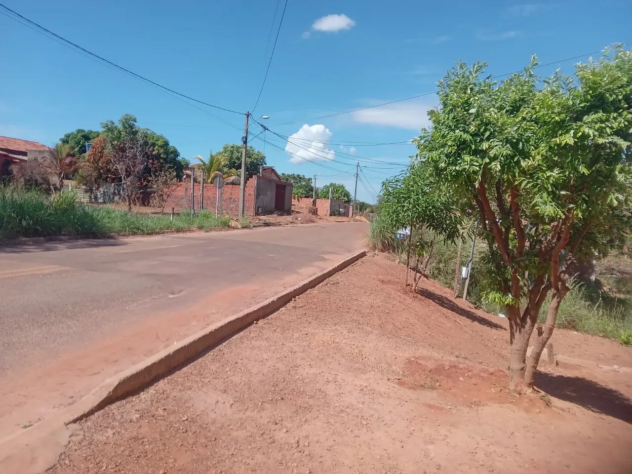 Vendo esse lote com um cômodo.  - Foto 3