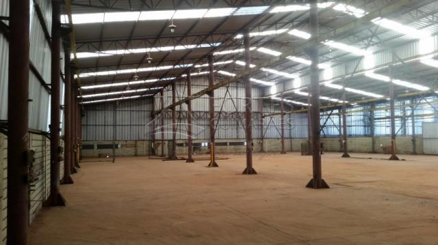 Loja comercial para alugar em Zona industrial, Sertaozinho cod:L18898 - Foto 8