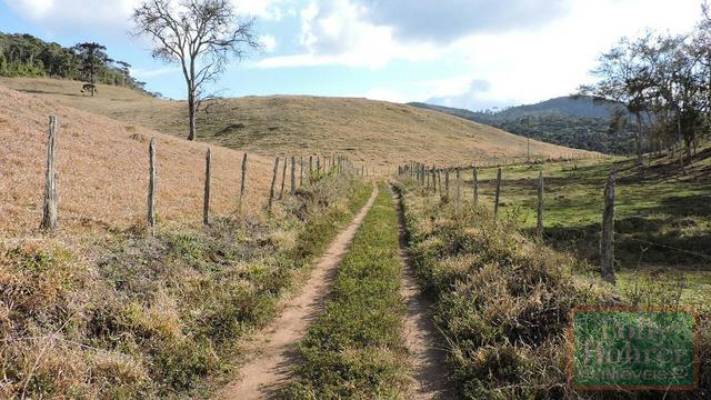Fazenda com 588,71 hectares, situada na estrada Friburgo-Teresópolis, na altura de Vieira - Foto 15