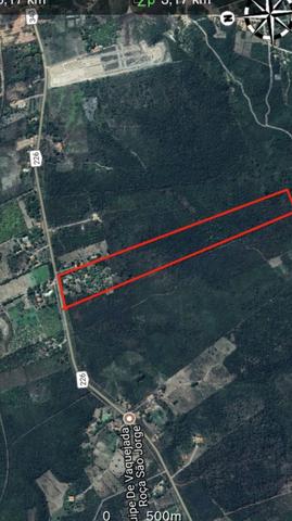 Vendo 20 hectares em Altos, BR343, asfalto, toda Infraestrutura
