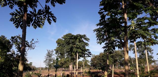 Chácara em Vila Bom Jardim-Nobres/MT - Foto 3
