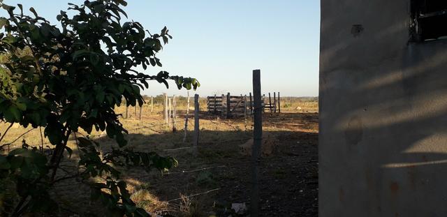 Chácara a 46 km de cuiaba - Foto 11
