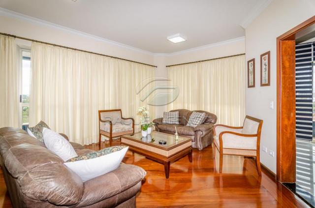 Apartamento para alugar com 4 dormitórios em Caicaras, Londrina cod:L4346 - Foto 4