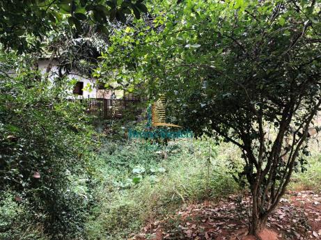 Chácara à venda, 4000 m² por r$ 120.000,00 - 20km de teófilo otoni - teófilo otoni/mg - Foto 10