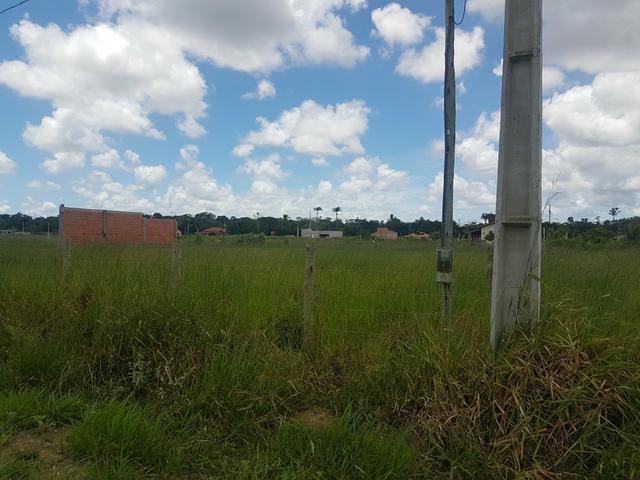 Vendo Chácara - Foto 5