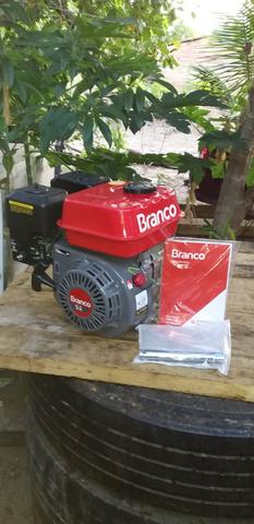 Vendo motor 5,5 - Foto 3