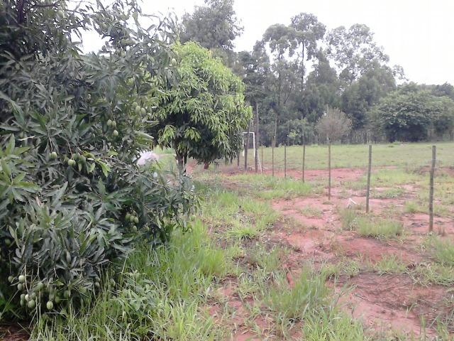 Terreno comercial as margens do asfalto - entrada + parcelas - Foto 6