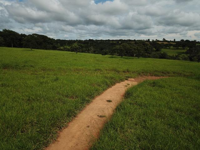 Fazenda em Bela Vista de Goiás de 15 Alqueires, à 45 km de Goiânia Dentro da Cidade - Foto 5