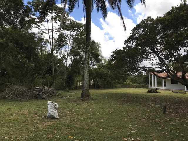 Aluga-se granja em aldeia km 9,5 - Foto 9
