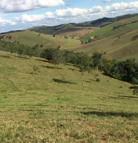 Fazenda região de Itanhaém BA - Foto 8