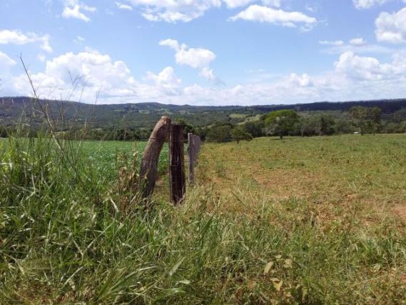 Fazenda toda formada de 5 alqueires no sapé - Foto 6