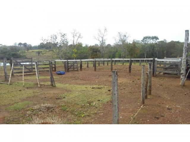 Chácara à venda em Zona rural, Pocone cod:20534 - Foto 5