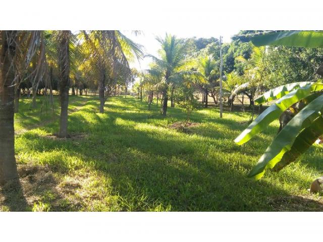 Chácara à venda em Zona rural, Pocone cod:20534 - Foto 12