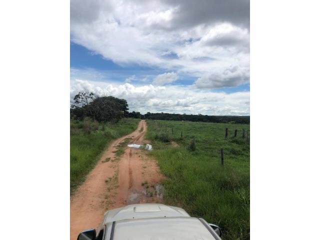 Chácara à venda em Rural, Nova mutum cod:22068 - Foto 9