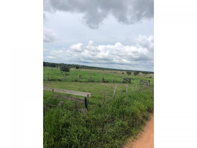 Chácara à venda em Rural, Nova mutum cod:22068 - Foto 20