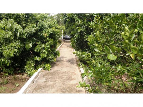 Chácara à venda em Zona rural, Nossa senhora do livramento cod:13185 - Foto 14