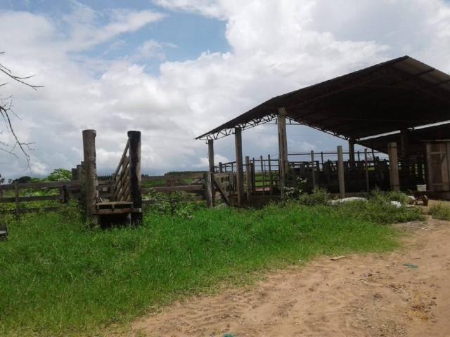 Chácara à venda em Rural, Nova mutum cod:22068 - Foto 2