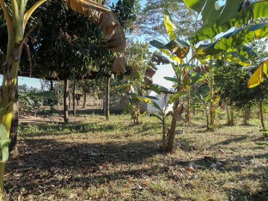 Chácara à venda em Zona rural, Santo antonio do leverger cod:21685 - Foto 10