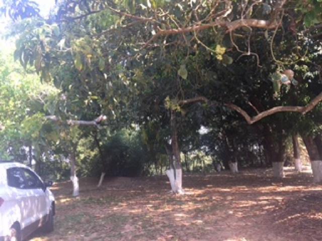 Chácara à venda em Bom sucesso, Varzea grande cod:20593 - Foto 7