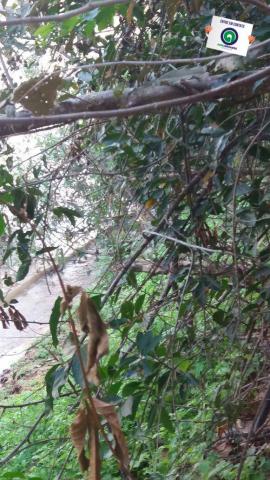 Pesqueiro em barao de melgaço - Foto 16