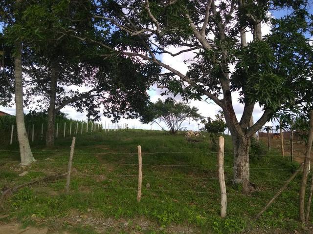 Terreno Em Pedra Branca