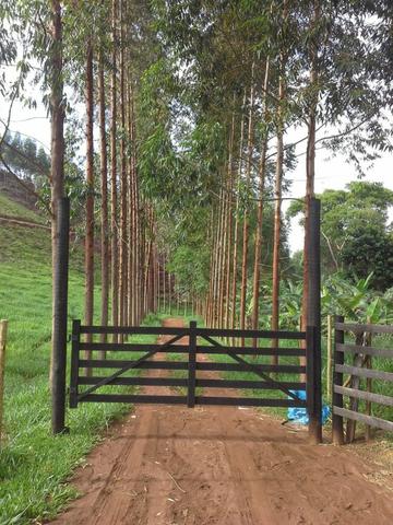 Fazenda 159,72 hectares - Leopoldina/MG; - Foto 19