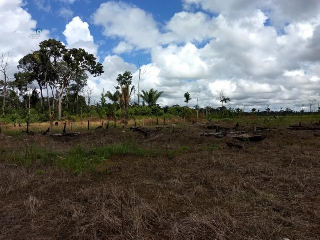 Chácara para Venda em Arigolândia Porto Velho-RO - Foto 3