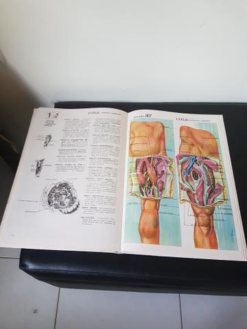 Grande Atlas de Anatomia Humana - Foto 3