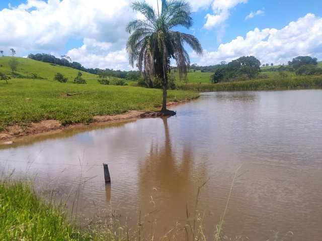 Vende-se chácara de 06 alqueires em Itauçu-Go 