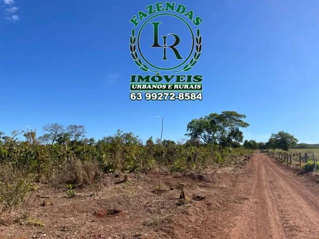 Fazenda 46 Alqueires Próximo Palmas - Foto 3