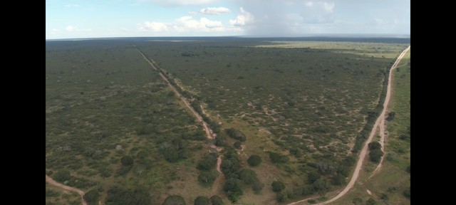 FAZENDA COM 2.700 HECTARES COM OUTORGA DE AGUA, PRA IRRIGAÇÃO!! - Foto 2