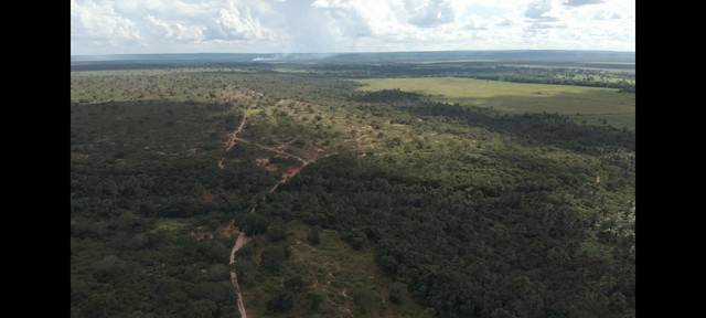 FAZENDA COM 2.700 HECTARES COM OUTORGA DE AGUA, PRA IRRIGAÇÃO!! - Foto 3