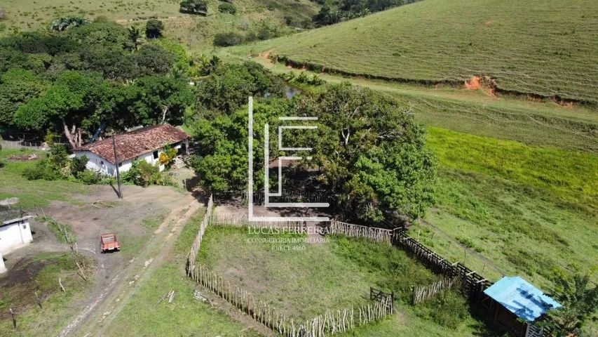 Fazenda Pindorama - Belíssima fazenda de 58ha entre Joaquim Gomes e Matriz de Camaragibe - Foto 3